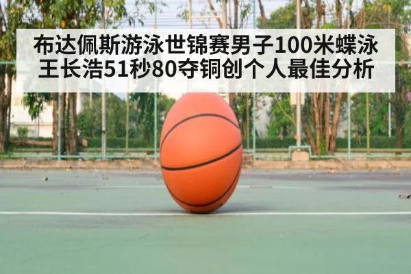 布达佩斯游泳世锦赛男子100米蝶泳王长浩51秒80夺铜创个人最佳分析