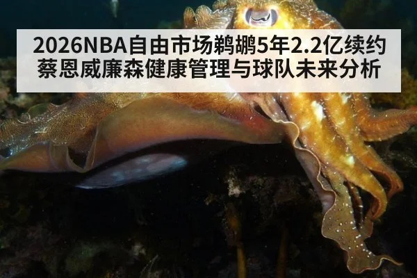 2026NBA自由市场鹈鹕5年2.2亿续约蔡恩威廉森健康管理与球队未来分析